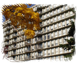 Our Building