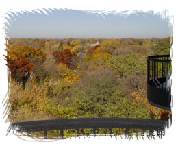 Our Location